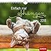 Produktbild Einfach mal abhängen 2018: Dekorativer Wandkalender mit Monatskalendarium | Maße (BxH): 21x20cm