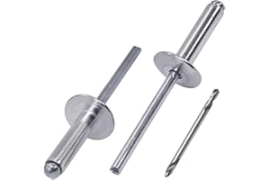 SKIR'CO Rivetti ciechi a flangia grande, in alluminio, 4,8 x 24 mm, mandrino in acciaio, punta da trapano inclusa (300 pezzi)