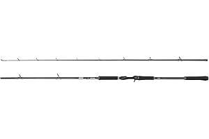 Abu Garcia Beast X Casting Rod, Freshwater Angler Fishing for Pike Perch & Zander, Strong Leightweight & Versatile, Green, Ambidextrous Carbon Fish Rod