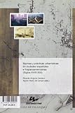 Image de Normas y prácticas urbanísticas en ciudades españolas e hispanoamericanas: (Siglos XVIII-XXI)