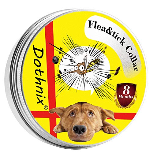 dothnix Collar Antiparasitos Antipulgas para Perros Gatos contra Pulgas,Garrapatas y Mosquitos,8 Meses,Tamaño Ajustable e Impermeable para Mascota Pequeño Mediano Grandes(55cm)