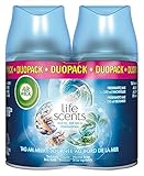 Air Wick Freshmatic Max Automatisches Duftspray Nachfüller,...