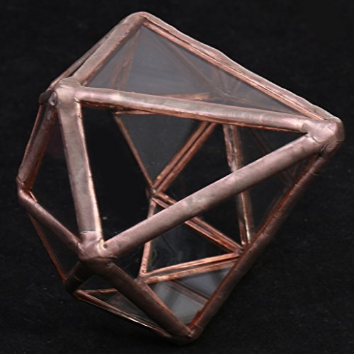 MagiDeal Geometrisches Glas Terrarium Box Glas Sukkulente Pflanzen Pflanzgefäß Deko Diamant Form – S - 8