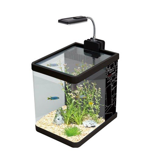 Nano Aquarium Fish Tank 10 Litres Tropical / Coldwater (Black) Buy