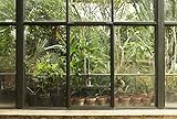 Scenolia Papier Peint Intissé Jardin et Patio Tropical 3 x 2,70m - Décoration Murale Effet Trompe l'Oeil - Revêtement Panoramique Tapisserie XXL - Pose Facile et Qualité HD