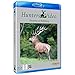 Produktbild Jagd in Berleburg/Hunting at Berleburg - Hunters Video 74 BlueRay