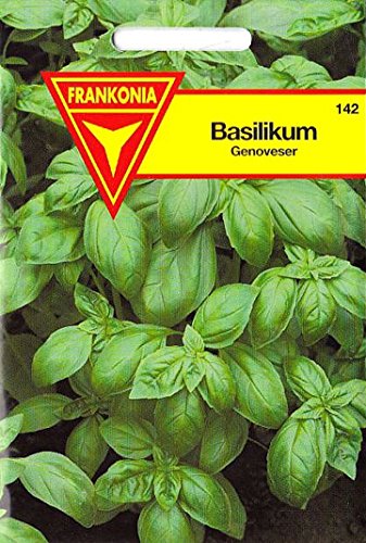 Basilikum, Genoveser, Ocimum asilicum, ca. 200 Samen - 2