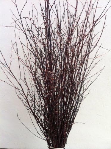 Decorative Coloured Birch Twigs and branches -Black With Orange Glitter - 90cm's - 25 Stems