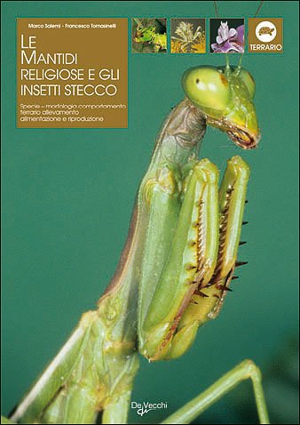 Le mantidi religiose e gli insetti stecco Le mantidi religiose e gli insetti stecco