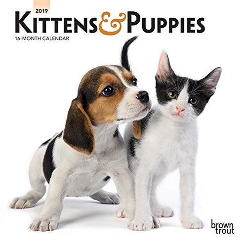 Preisvergleich Produktbild Kittens & Puppies 2019 Calendar