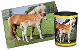 Läufer 26557 Motiv-Papierkorb Pferd und Fohlen, 13L, rund, Kunststoff - 2