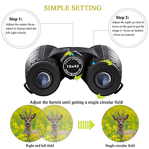 BNISE Binocolo Professionale, Compatto 10x42 HD, Prisma BaK4 FMC con Lenti Completamente Multistrato, Adatto Viaggi All'aperto, Bird Watching, Da Teatro, Caccia e Concerti, Adattatore per Smartphone