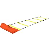 Avessa 6 Meter Training Ladder
