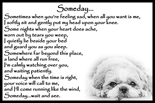 Shih-Tzu-Memorial-dog-bereavement-pet-loss-Flexible-Fridge-Magnet-Someday