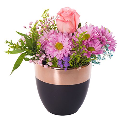 Blumentopf schwarz Pflanztopf Übertopf Keramik Kupferlackierung (Dekoobjekt) (Ø14 cm * H 13,5cm (Innen: Ø12,3cm * H13cm)) - 3
