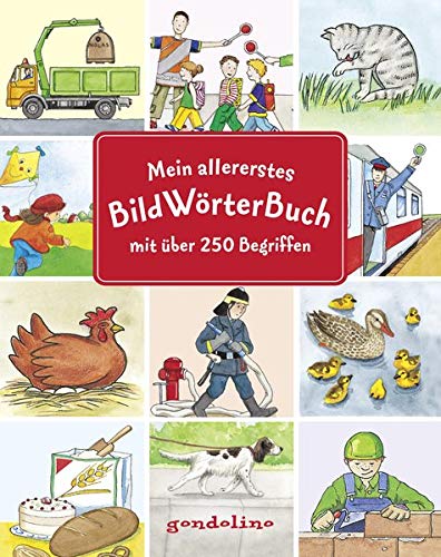 Mein allererstes Bildwörterbuch mit über 250 Begriffen
