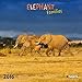 Elephant Families 2016: Kalender 2016 (What a Wonderful World) by