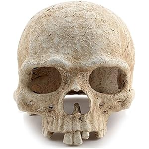 merrynine Reptile Vivarium für Reptilien Dekoration Menschlicher Schädel Hide Cave Nest Aquarium Unterwasser Ornament