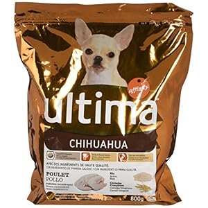 Lavagnetta magnetica con Chihuahua dal pelo lungo