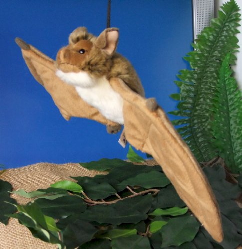 Preisvergleich Produktbild Fledermaus Bechsteinfledermaus Abendsegler * 41 cm Spannweite LEBENSGROß * Plüschfledermaus Plüschtier