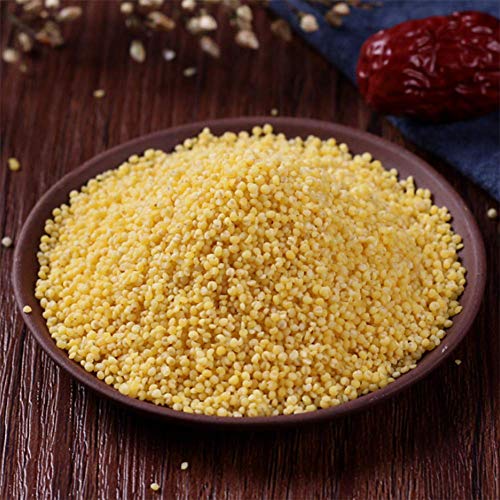 Preisvergleich Produktbild ZXCV Lyra Pet 10 kg Bird Kolbenhirse gelb Vogelfutter Kanarienfutter Wellensittiche