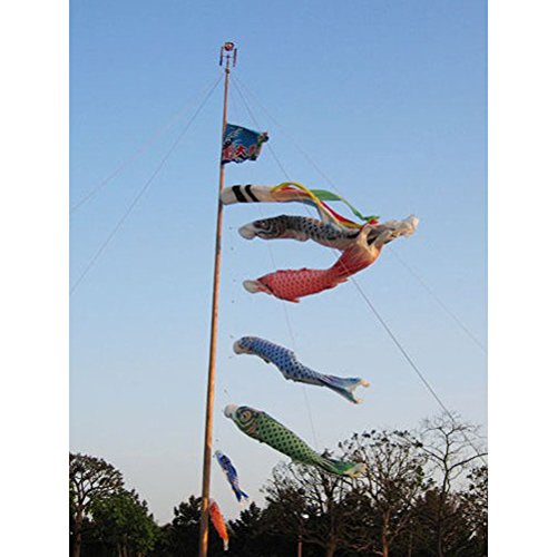 LUOEM Windsack japanischen Karpfen Karpfen Fahne Koinobori Windsack 70cm (schwarz) - 6