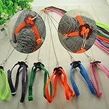 LA VIE Vogel Kabelbaum Geschirre & Leinen Einstellbar Papagei Training Kontroll Leine Licht Weiche Gurt Leine für Papagei Sittiche Nymphensittich Mittlerer und großer Vogel Orange/Rosa/Gelb/Grün