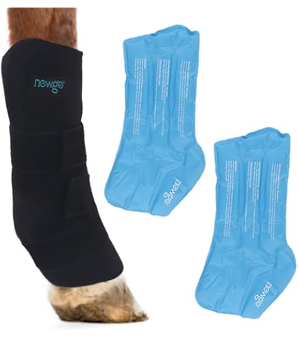 Harrison Howard Fliegengamaschen Für Pferde – 4er Set, UV-Schutz, Atmungsaktiv, Mit Reflexstreifen