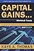 Produktbild Capital Gains, Minimal Taxes: The Essential Guide for Investors and Traders