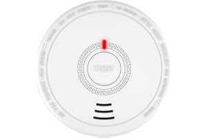 ISAFENEST Fire Alarms for Home Smart Smoke Alarm Battery Smoke Alarm with LED Indicator,10 Years Lifetime,Test & Silence Button