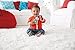 Fisher-Price Infant CGR96-Panda Teether, Multi-Colour