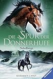 Image de Die Spur der Donnerhufe, Band 3: Nebelberge