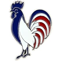 BOBIJOO Jewelry Pin's Cocarde Française Doré Or Fin