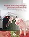 Atlas de anatomía patológica gastrointestinal del cerdo (SIN COLECCION)