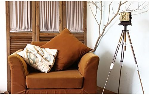 GFEI Retro landing camera display props gift / coffee shop clothing store window decoration decoration decoration,A