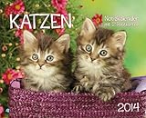 Notizkalender Katzen 2014 by 