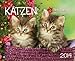 Notizkalender Katzen 2014 by 