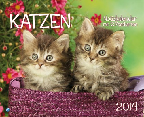 Notizkalender Katzen 2014