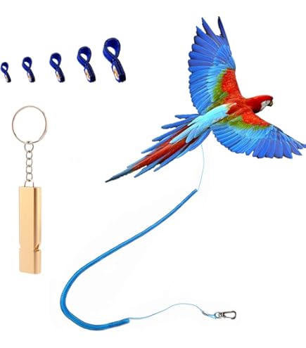 Imbracatura Aviator Per Uccelli - Guinzaglio Sicuro E Comfortevole Per Pappagalli E Volatili
