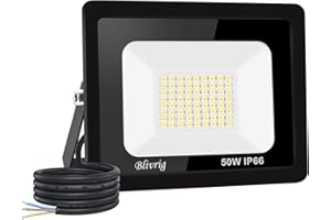 JEFEDANA Focos Led Exterior 50W 6000K Blanco Frío Proyector LED Exterior 5000LM Potente Luces Led Exterior IP66 Impermeable Seguridad LED Floodlight Exterior para Terraza, Jardín, Patio, Parque, Garaje