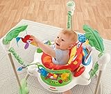 Fisher-Price Baby Gear – K7198 – Rainforest Jumperoo - 16