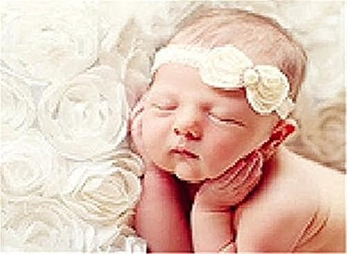 Fasion Newborn Baby Photography Props Rose Flower Backdrop Blanket Rug