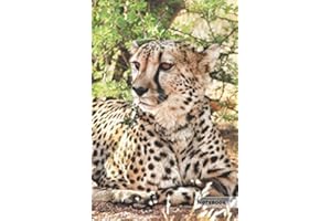 Cheetah Notebook: Unique Cheetah Journal, Notebook for animal and big cats lovers (Blank Linear) great for kids, boys, girls, to writing notes, ... lists, organizing and braindstorming.