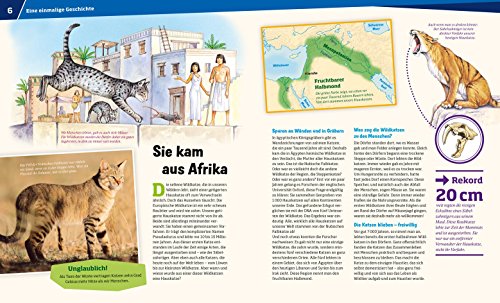 WAS IST WAS Band 59 Katzen. Flinke Jäger auf Samtpfoten (WAS IST WAS Sachbuch, Band 59) - 4