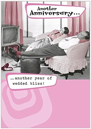 Abacus Humorous Anniversary Greeting Card - 'Another Year of Wedded Bliss' - Couple Asleep In Front of TV - Retro Design