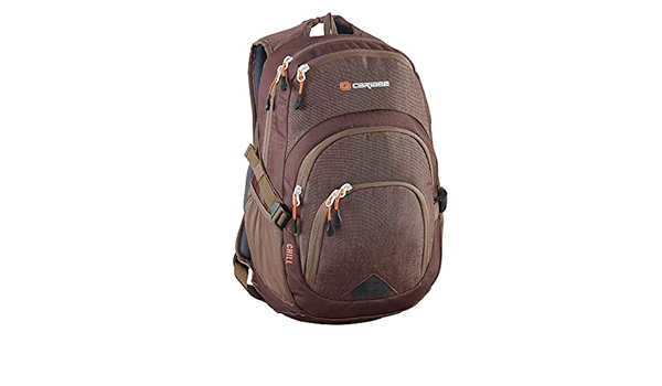 caribee chill backpack