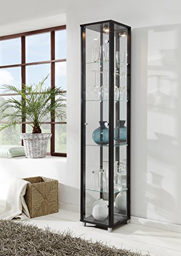 Black Single Door Glass Display Cabinet with Mirror Back, 4 Moveable Glass Shelves & Spotlight