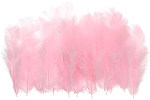 PATIKIL 1.5-3 Inch Saddle Hackle Rooster Feather, 300 Pcs Bulk Natural Feathers Fluffy Craft Feathers for Dream Catcher Earrings Pendant, Pink