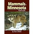 Mammals Of Minnesota Field Guide