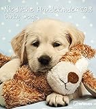 Niedliche Hundekinder 2018: teNeues Wandkalender by 